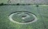 OGM_campo